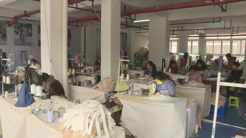 何世昌 返鄉創辦服飾廠 帶動群眾增收致富